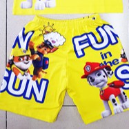 Bộ thun cotton Thái lạnh in hoạt hình Paw patrol biệt đội cứu hộ