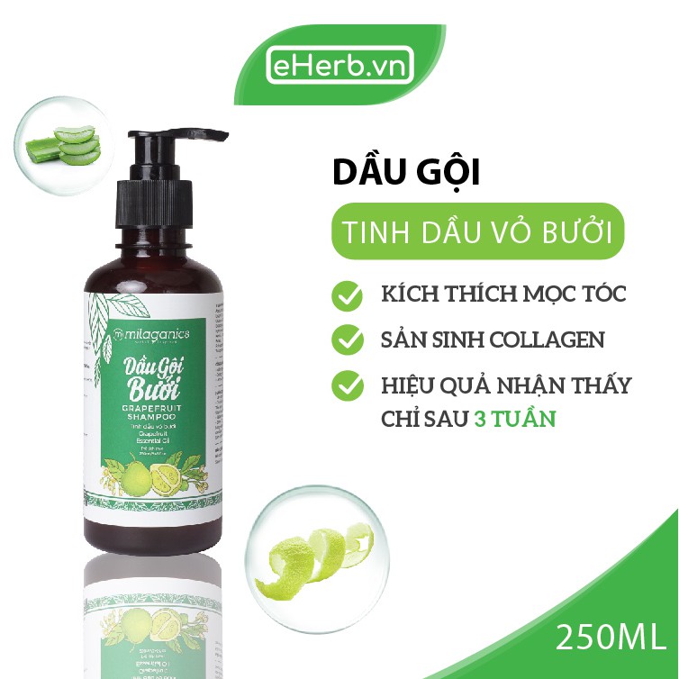 Combo Dầu Gội & Kem Ủ Bưởi Kích Thích Mọc Tóc & Phục Hồi Hư Tổn Từ Tinh Dầu Bưởi Nguyên Chất MILAGANICS (500ml/ Bộ)