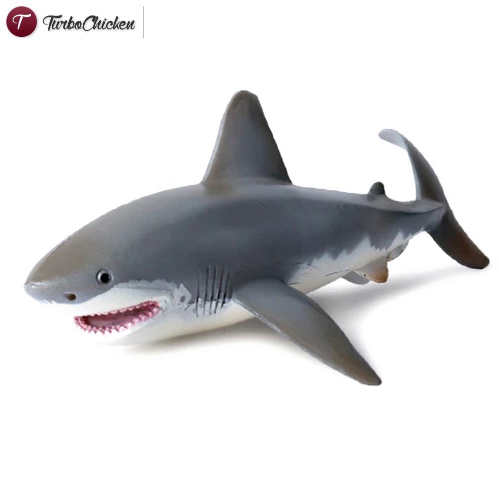 Cá mập mô hình Cá Mập Mô Hình Shark