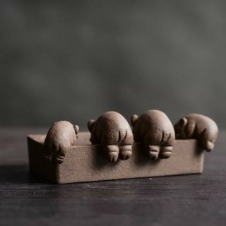 Dàn lợn con Đàn heo con ăn trong máng gốm tử sa