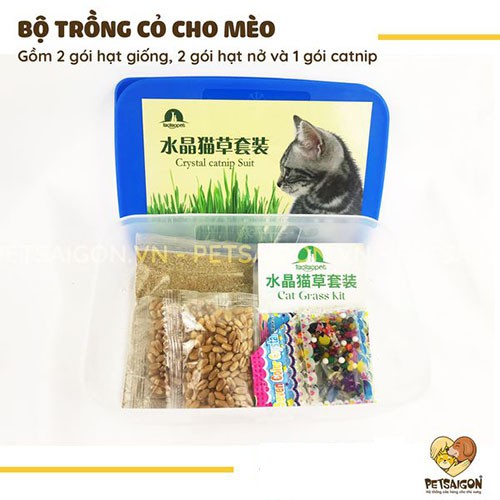 BỘ TRỒNG CỎ BẠC HÀ CHO MÈO - CATNIP