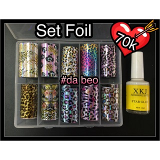 Set foil da beo + keo dán