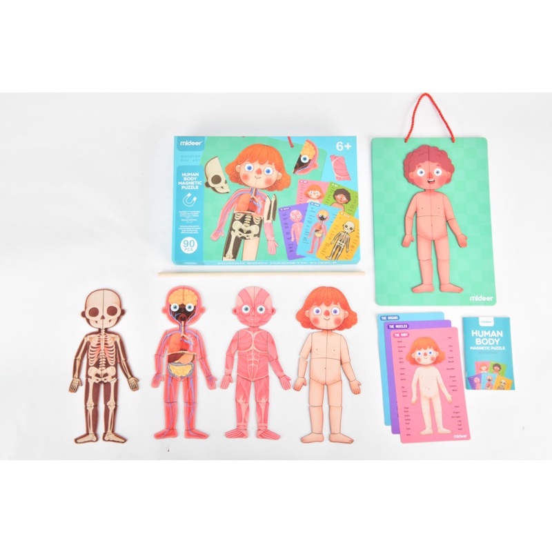 Đồ Chơi Ghép Hình Nam Châm Mideer Human Body Magnetic Puzzle, Đồ chơi bác sĩ cho bé 4,5,6,7 Tuổi