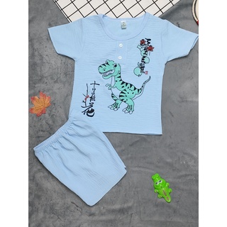 Bộ Đũi Màu Bé Trai (6-18kg) (giao màu ngẫu nhiên)