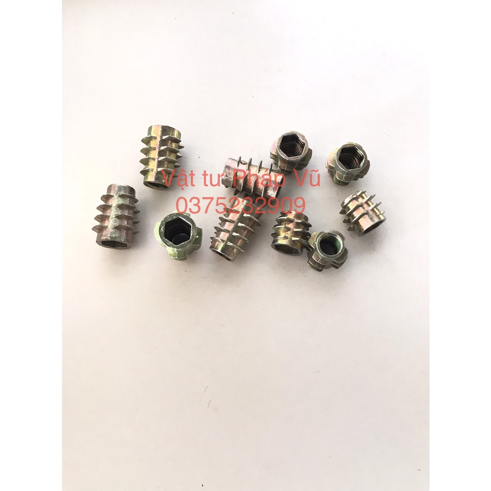 Ốc cấy, sò cấy - ĐỦ KÍCH THƯỚC - không vành, không tai - tán cấy