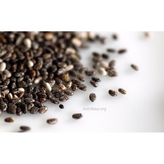 Hạt chia Úc Absolute organic chia seed 250g