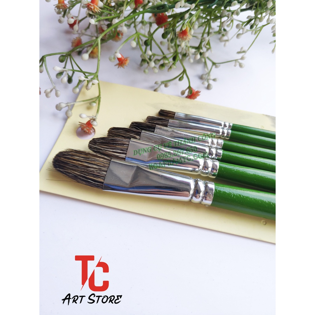 Bộ 6 Cây cọ Oval Lông chồn - Thân xanh lá
