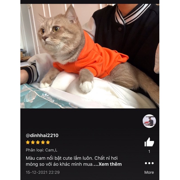 Áo Cho Chó Mèo, Áo Hoodie dành cho thú cưng, A3