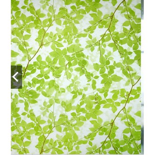 Decal giấy dán kính rừng xanh