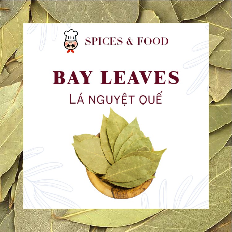 BAY LEAVES – LÁ NGUYỆT QUẾ ướp khử mùi thịt