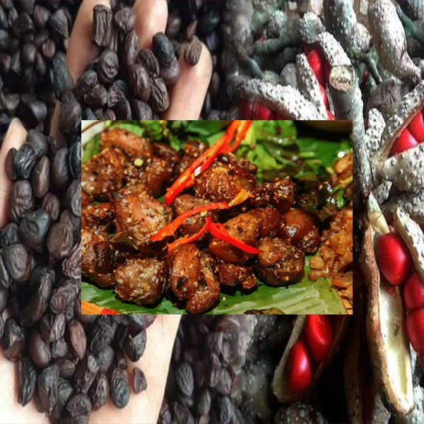 Hạt Dổi Rừng Sa Pa Loại Gia Vị Đặc Biệt Của Tây Bắc Ăn Một Lần Nhớ Cả Đời, Gia Vị Ngon Cho Mọi Nhà | BigBuy360 - bigbuy360.vn