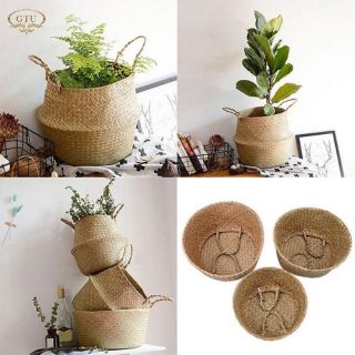 Bộ 3 giỏ cói ép để trồng cây cảnh