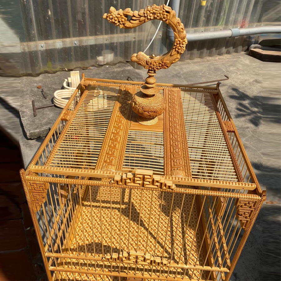 Lồng chim Jambul - TL17