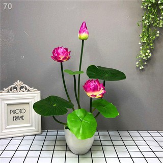 Chậu hoa sen giả trang trí nhà cửa