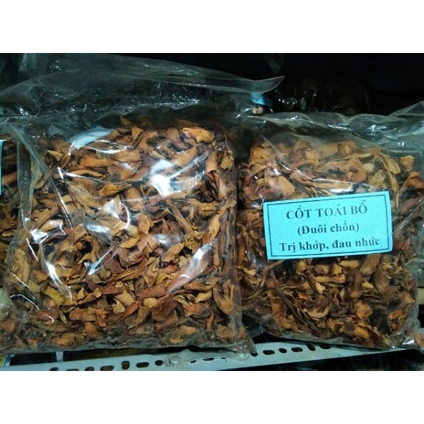 [ Hàng Loại 1 ]Cốt Toái Bổ Khô 1KG (Tắc Kè Đá) thần dược xương khớp