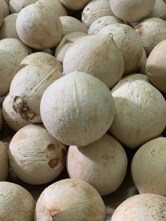 Dừa Xiêm Trọc Bến Tre