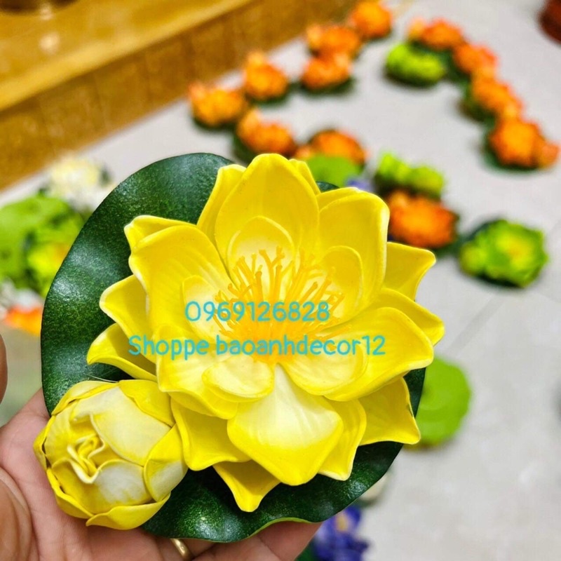 Hoa sen Thả nước ảnh thật 100% Shop chụp