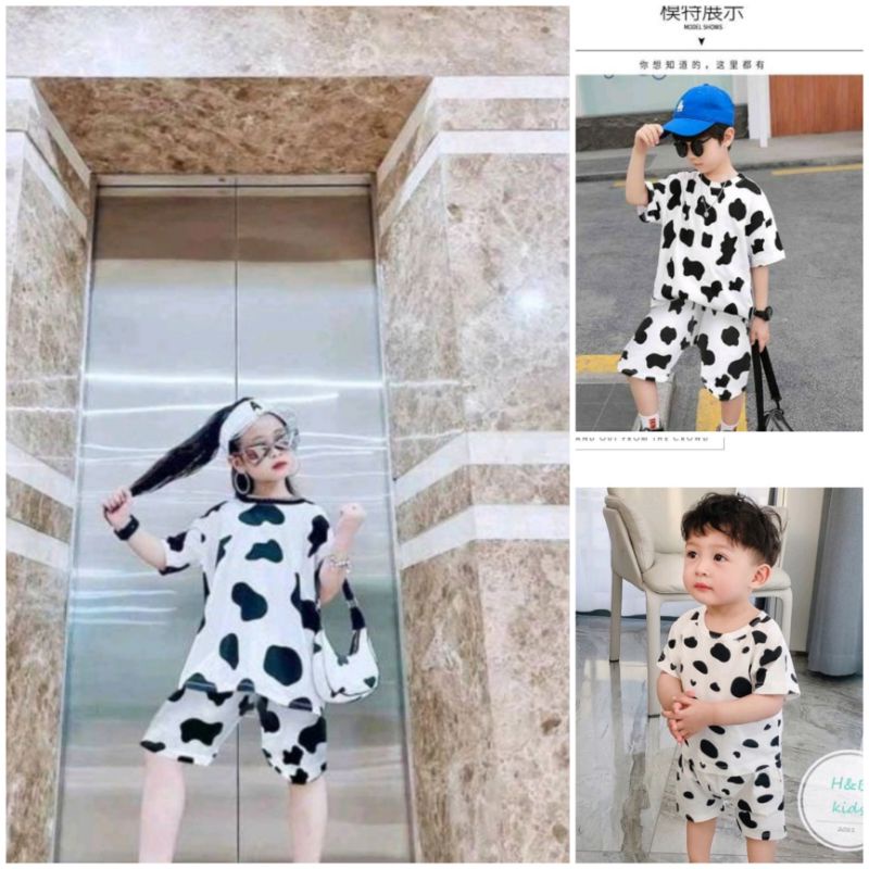 Bộ bò sữa siêu xinh kèm video ảnh thật ở bài