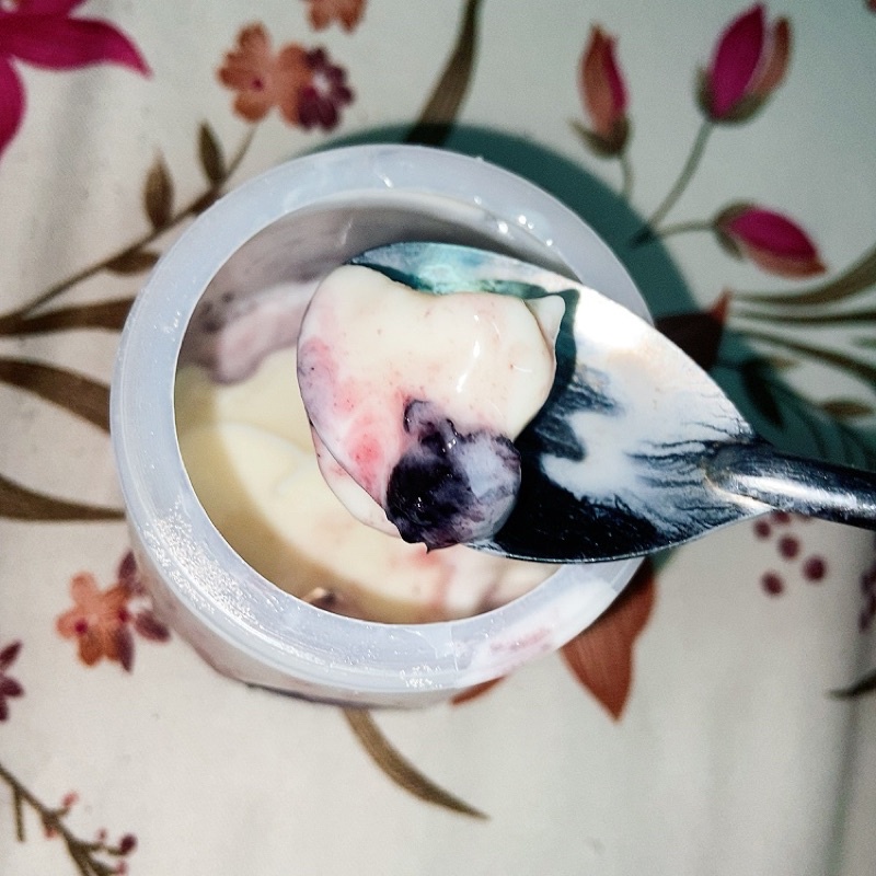 Sữa chua lên men vị trái cây nhà làm