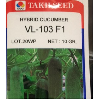 HẠT GIỐNG DƯA LEO NHẬT VL-103 F1