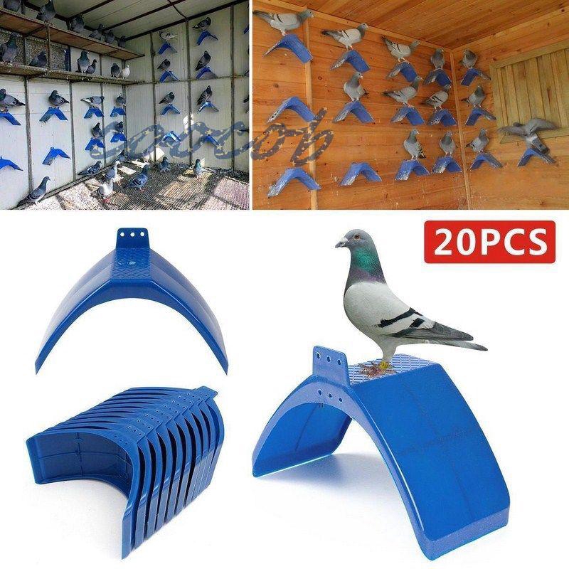 Bộ 20 Cầu Đậu Nghỉ Ngơi Cho Chim Bồ Câu Kiểu Dáng Đẹp Mắt