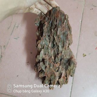 Đá tiger trang trí bể cá cảnh