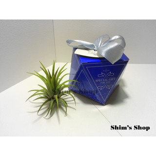 Hộp quà cây Không khí nhỏ - tặng móc treo