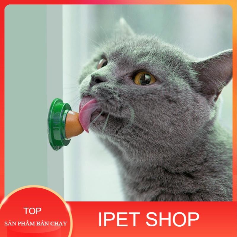 Kẹo mút dán tường cho mèo - ipet shop