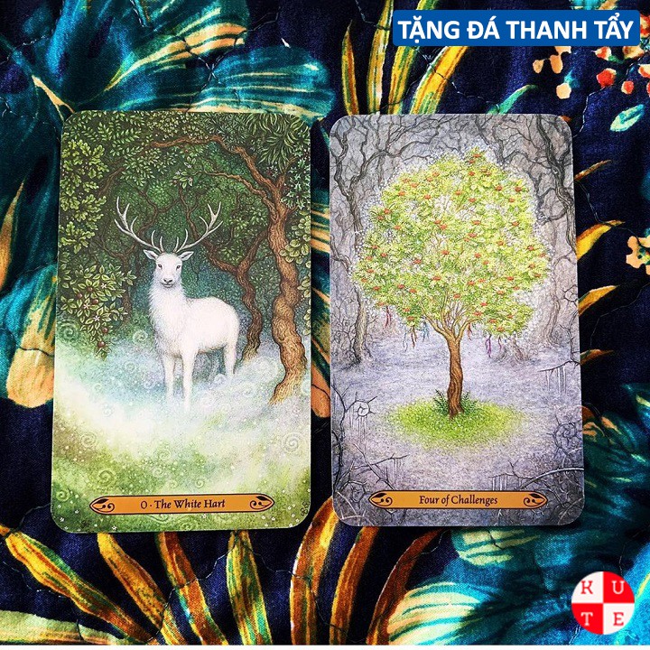 Bài Tarot Forest Of Enchantment 78 Lá Bài Tặng File Tiếng Anh Và Đá Thanh Tẩy C50