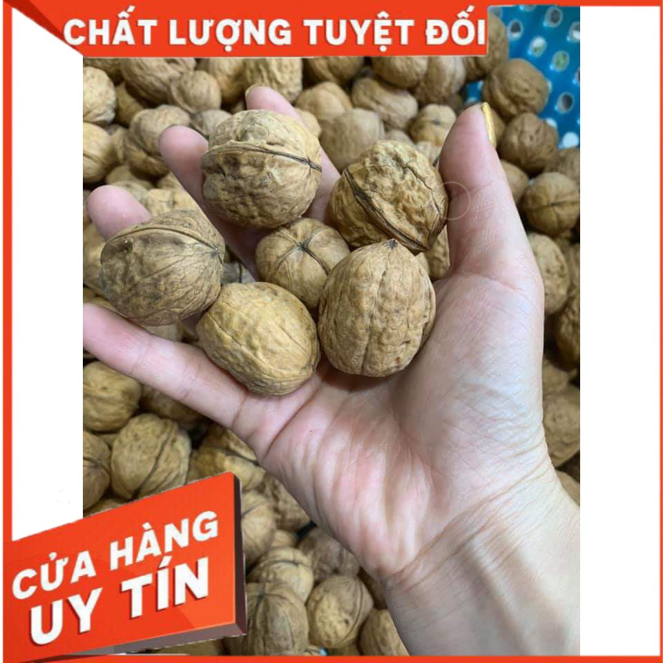 ⭕⭕Quả (Hạt) Óc Chó Vàng Loại 1 Chuẩn Nhập Khẩu 500g