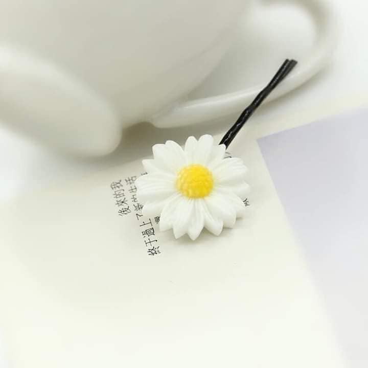 Sét 2 kẹp tóc họa mi siêu hót