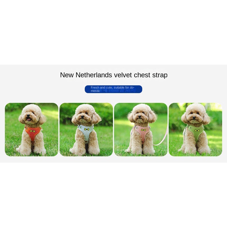 (MớI) Áo vest Dạ Quang Cho Thú Cưng