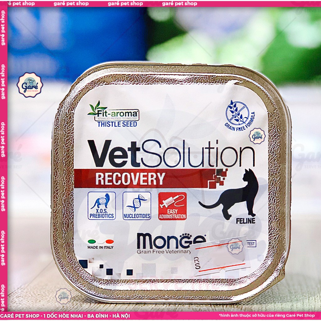 100g - Pate Recovery phục hồi sức hàng nhập Ý cho Mèo - Monge Vet Solution Recovery