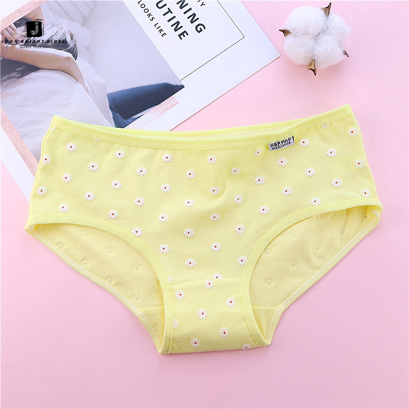 JKG Quần Lót Cotton Hoạ Tiết Hoa Cúc Đáng Yêu Dành Cho Nữ | BigBuy360 - bigbuy360.vn