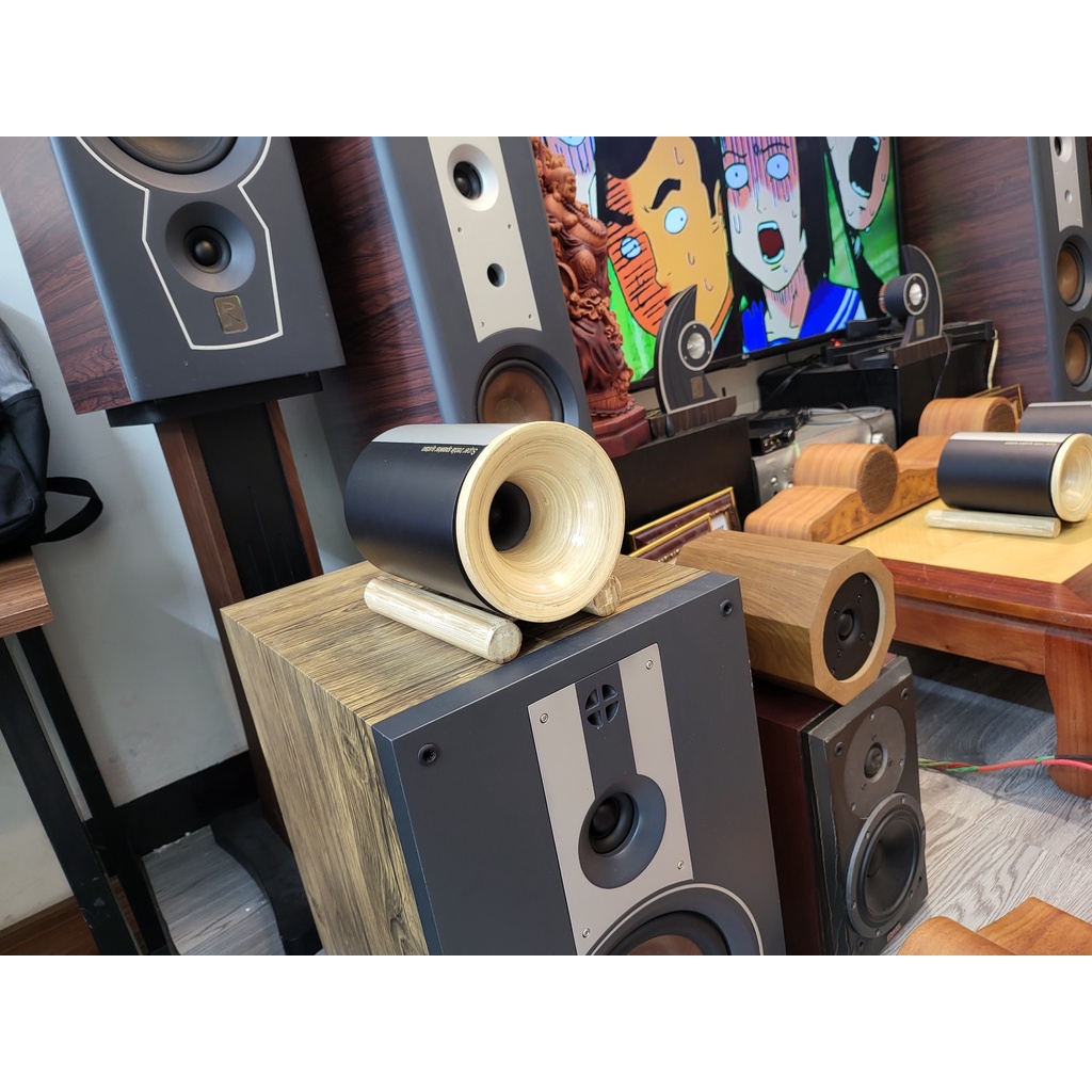 Loa Super Treble Pioneer V2