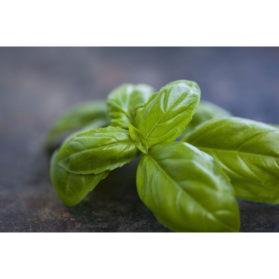 Gia vị món Âu Lá thơm khô Húng tây BASIL nhập khẩu chính hãng KIRKLAND Canada 1000gr-1Kgg