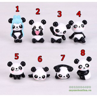 Gấu trúc panda tinh nghịch