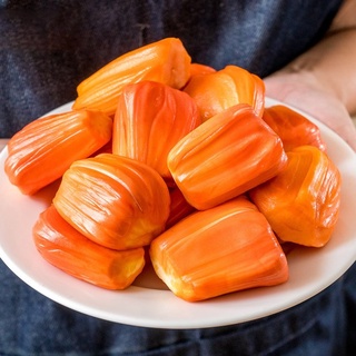 Cây giống MÍT RUỘT ĐỎ