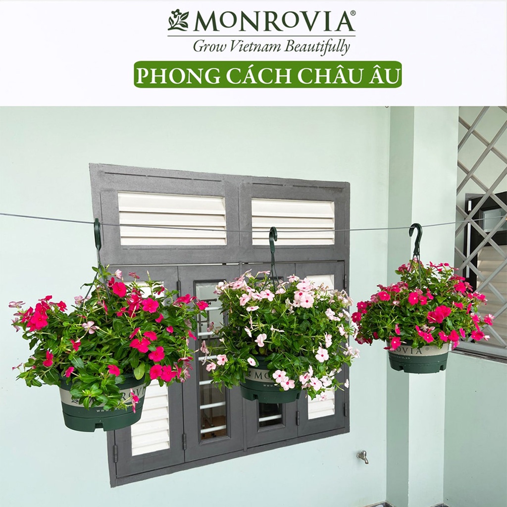 Chậu Nhựa Treo Trồng Cây Monrovia Chính Hãng Siêu Bền Đẹp Và Chất Lượng