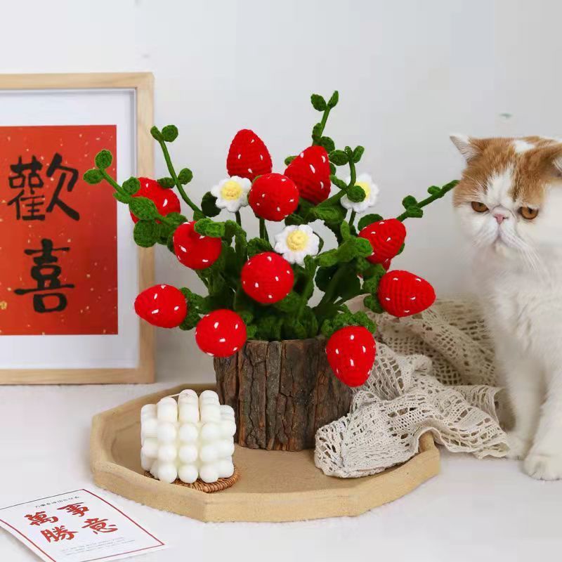 [DIY]Tự làm bộ hoa dệt kim. Bó hoa len màu cam đan Bó hoa thủ công tự làm