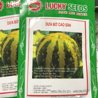 Hạt giống Dưa bở Cao sản 5gr 🍀