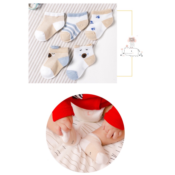 Set 5 đôi tất cho bé, Thị Nhím Store, Set 5 đôi tất xuất Nhật 100% cotton mềm mại cho bé