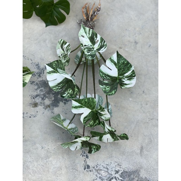 Cây giả/ Cây lá rùa cảnh 18 lá to cao 76 cm loại 1 decor siêu đẹp