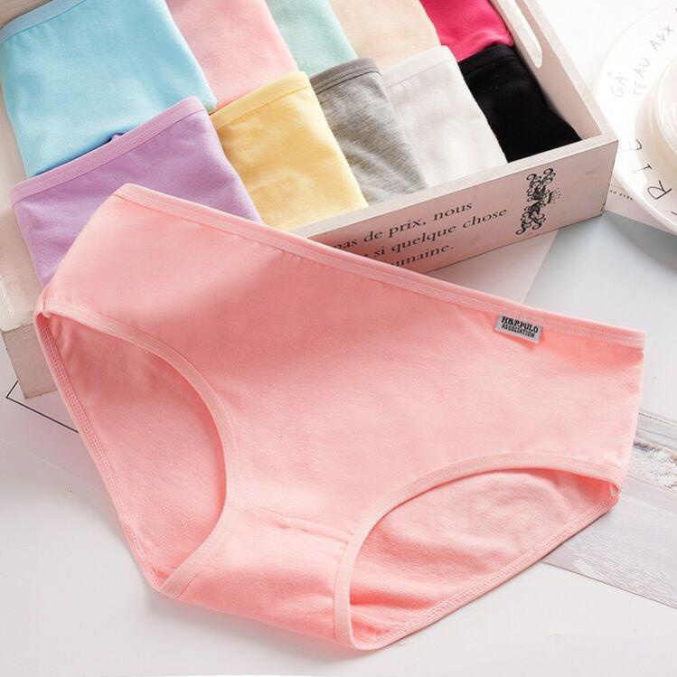 Quần Lót Cotton Màu Trơn Nữ_Quần Lót Pulo Co Giãn Mềm Mịn - LADY