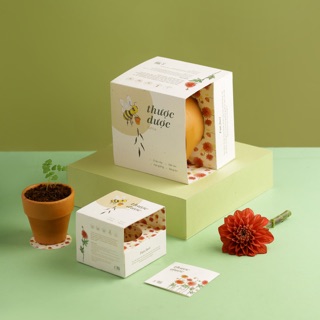 Kit Trồng Cây Mini - Hoa Thược Dược | Plant Kit - Dahlia