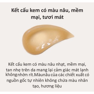 KEM DƯỠNG ẨM SKIN 1004 CENTELLA