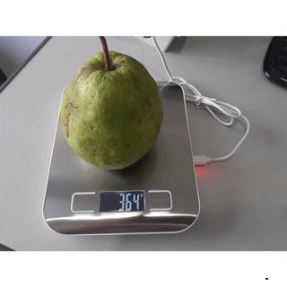Cân điện tử nhà bếp sạc USB cân từ và mẫu mới nhất 2019, cân thực phẩm, cân tiểu ly, cân nhà bếp