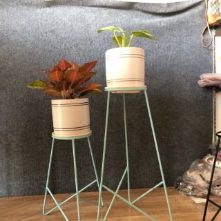 combo 2 kệ cây cảnh phong cách Retro tối giản và hiện đại . Phù hợp với mộ mảng xanh trong ngôi nhà bạn .