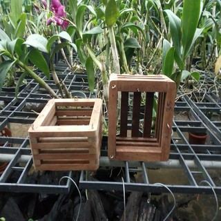 chậu gỗ trồng lan vuông 16cm