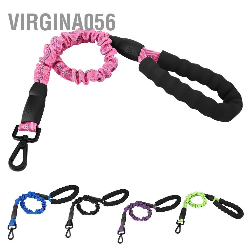 Dây DẫN Thú Cưng Đi DạO 2.46ft